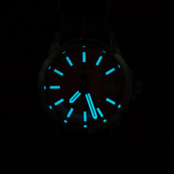 PX1742 New Mens Mechanical Watches Aventurine Dial 100M Waterproof Clock Sapphire Glass Automatic Men Watch Relogio Masculino