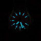 PX1742 New Mens Mechanical Watches Aventurine Dial 100M Waterproof Clock Sapphire Glass Automatic Men Watch Relogio Masculino PX1742 New Mens Mechanical Watches Aventurine Dial 100M Waterproof Clock Sapphire Glass Automatic Men Watch Relogio Masculino