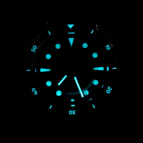 PX1743  New Mens Mechanical Watches Aventurine Dial 100M Waterproof Clock Sapphire Glass Automatic Men Watch Relogio Masculino