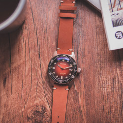 Proxima PX1681  CuSn  Diver Watch Men Mechanical Watches 200M Waterproof Luminous 2021 Sport Relojes Orange Dial