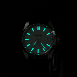 PROXIMA PX1690 scuba master BGW 9 G meteorite dial 