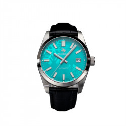 PROXIMA PX1690 scuba master BGW 9 anhua  Green dial 