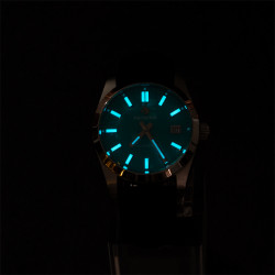 PROXIMA PX1690 scuba master BGW 9 anhua  Green dial 